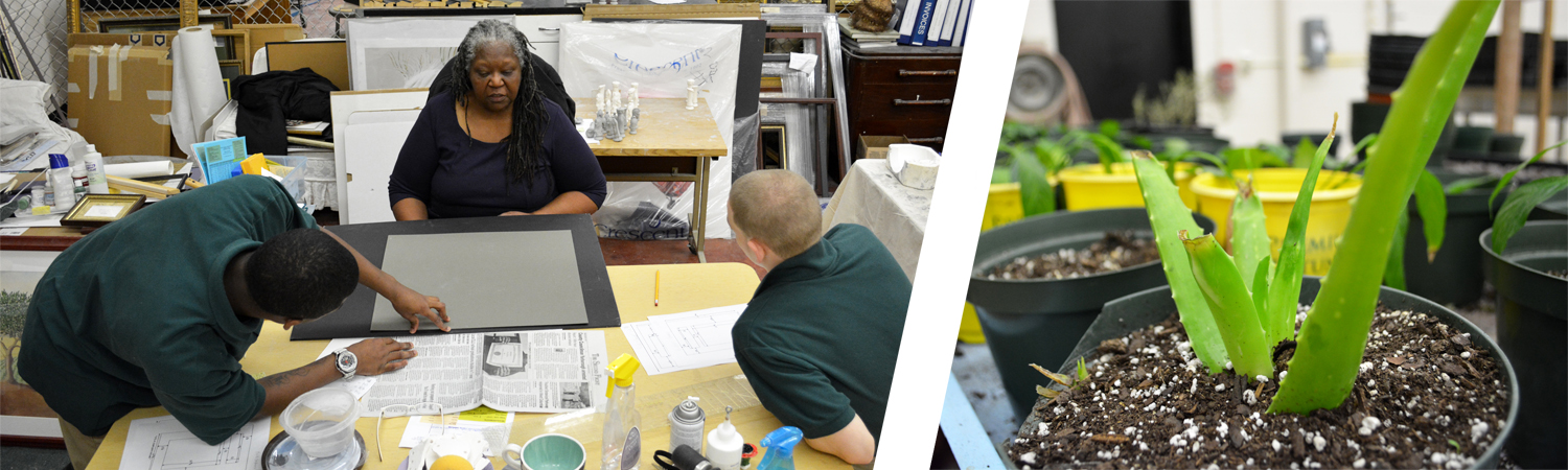 Career and Technology Education (CATE) | South Carolina Department of